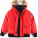 [홍콩명품.CANADA GOOSE] 캐나다구스 25SS 로고 폭스퍼 다운 패딩 봄버 자켓 (레드), BM18221, S1F, 홍콩명품의류,구매대행,온라인명품